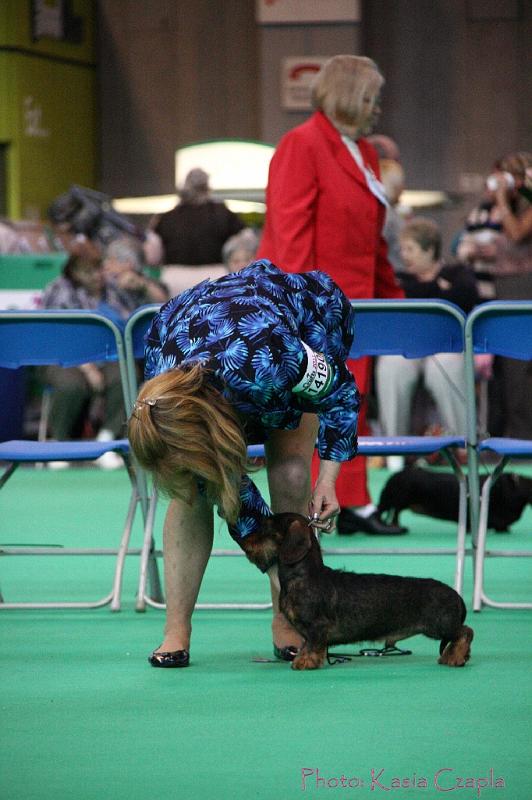 Crufts2011_2 834.jpg